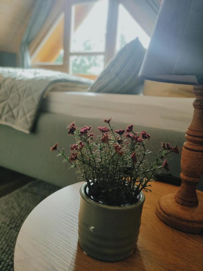 Ferienhaus Birkholz Harz Ilsenburg Dış mekan fotoğraf